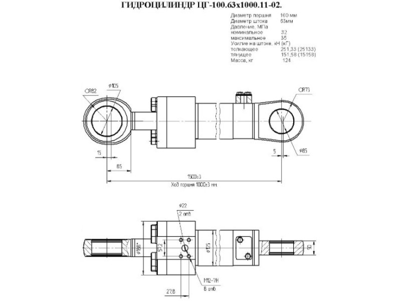 ЦГ-100.63х1000.11-02