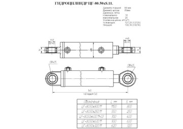 ЦГ-80.50х250.11