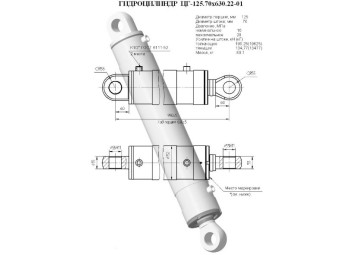 ЦГ-125.70х630.22-01