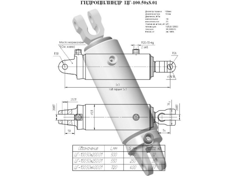 ЦГ-100.50х250.01
