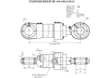 ЦГ-160.100х1130.11