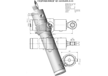 ЦГ-160.80х800.31-01