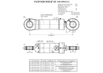ЦГ-160.100х1250.11