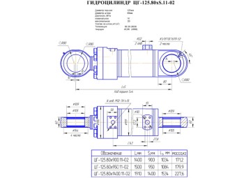 ЦГ-125.80х950.11-02