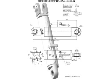 ЦГ-125.60х500.18-01