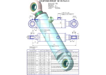 ЦГ-80.56х560.11-01